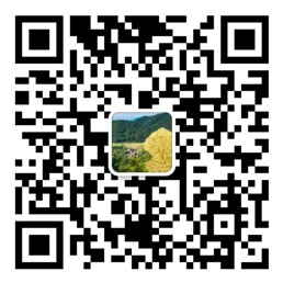 大发购彩大厅登录入口